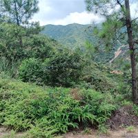 2礦同出！260萬方/年！廣東砂石大礦掛牌出讓