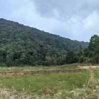 375萬噸/年！江西宜春國企競得當地灰巖礦