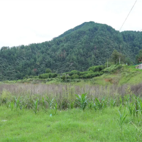 嚴厲打擊盜采盜挖礦產資源行為!國務院安委辦派出工作組明查暗訪